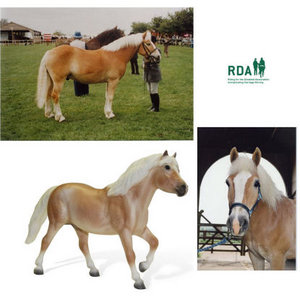 Breyer Traditional 1415 Strikey - RDA 40th Anniversary Winner